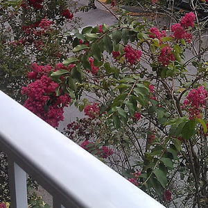 Meet your Posher, Katarina